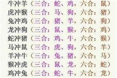 兔虎三合|《易经》十二生肖三合、六合解析！